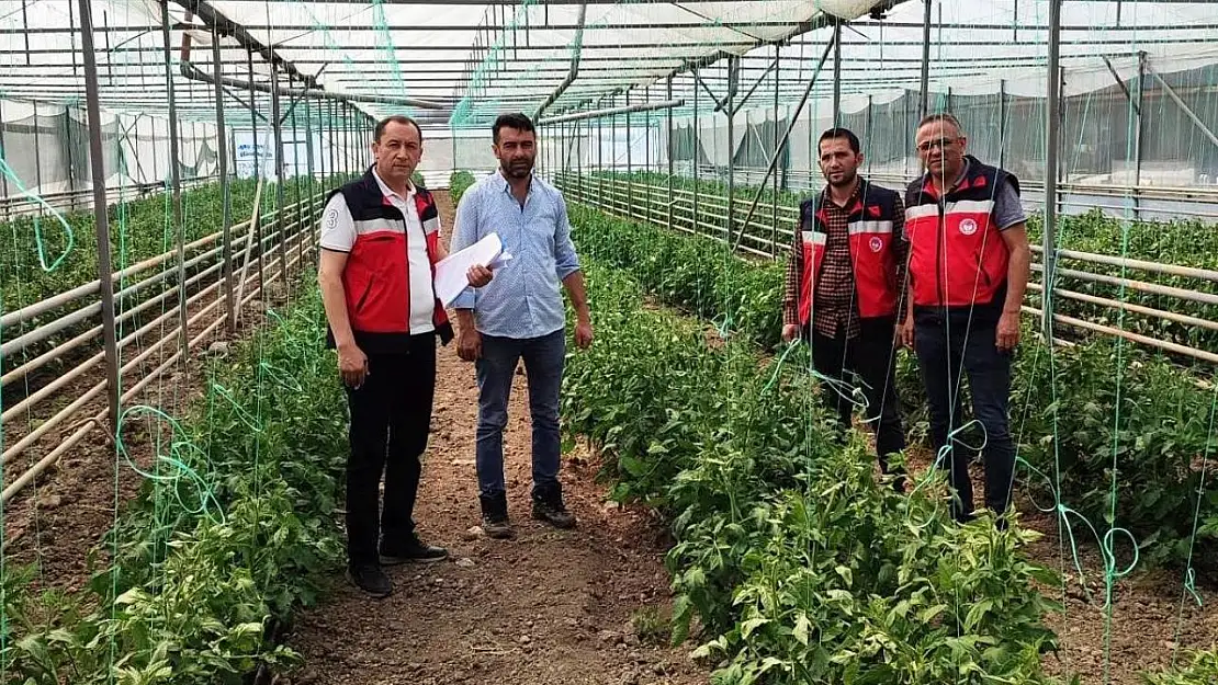 Simav'da yeni seraların tespitleri ve ürün kontrolleri