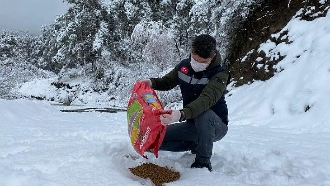 Sındırgı'da doğal hayat unutulmadı