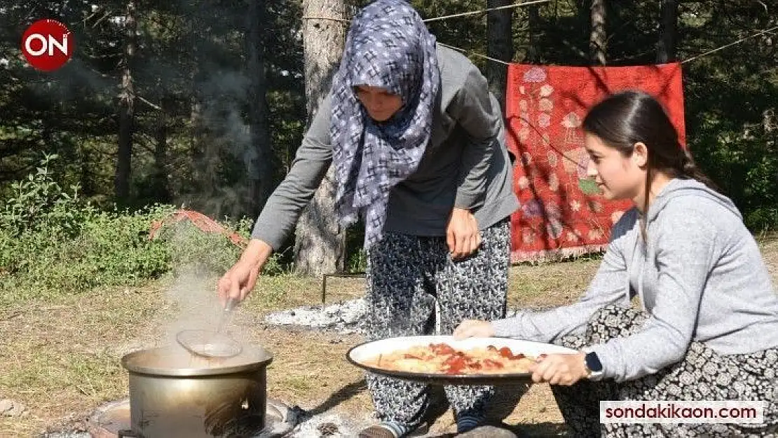 Sındırgı Gürgen yaylası, Yörüklerle şenlenmeye başladı