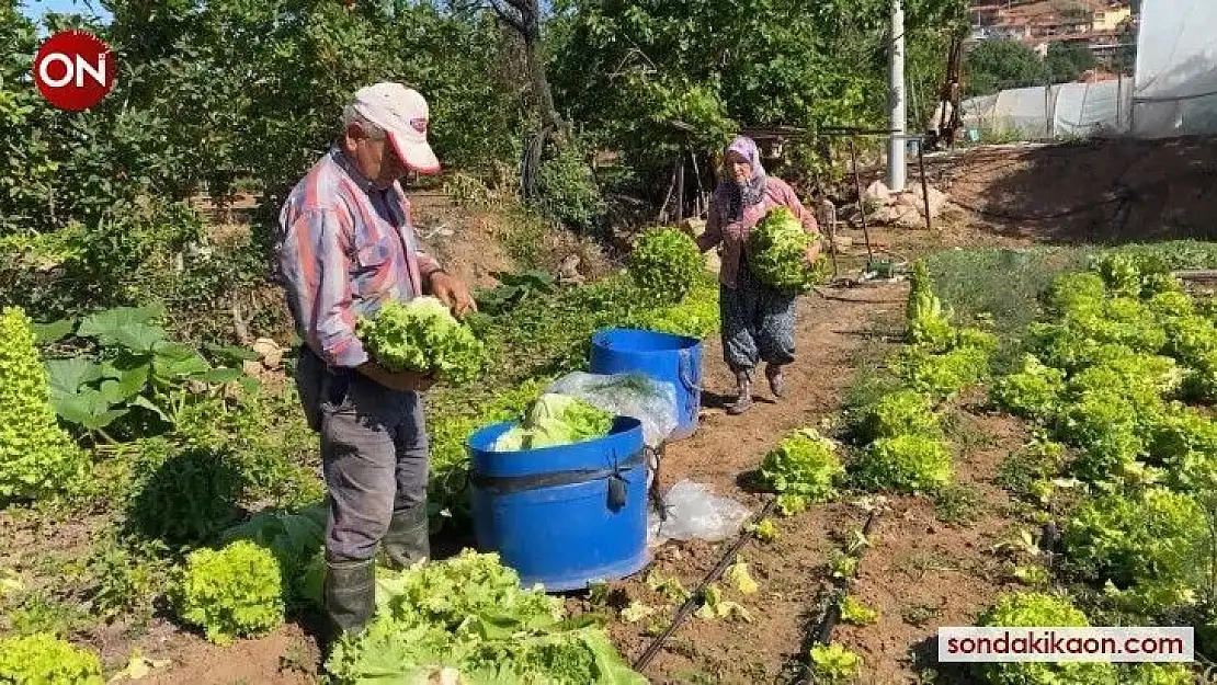 Sındırgı'nın doğal ürünler mahallesi Pürsünler