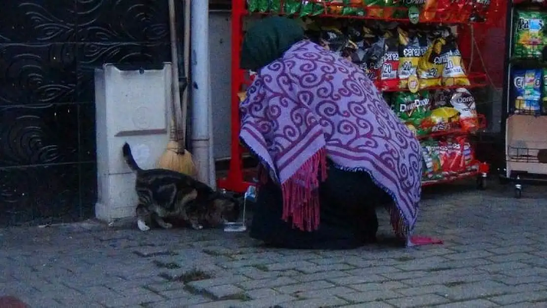 Soğuk havada iç ısıtan görüntü