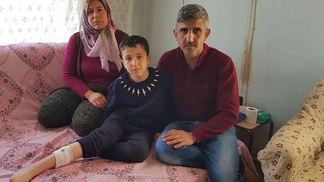 Sokak Köpekleri bir çocuğa daha saldırdı