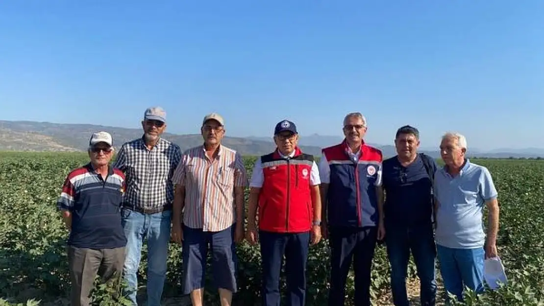 Söke, Aydın'ın pamuk başkenti olmaya devam ediyor