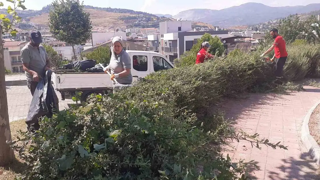 Söke Belediyesi'nden Park ve Bahçelerde yoğun çalışma