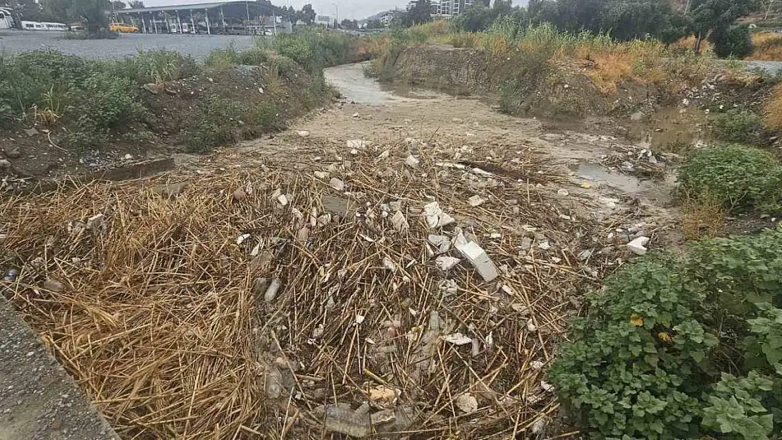 Söke'de Muhtar Canbul'dan DSİ'ye sitem: 'Ben demiştim demekten yoruldum'