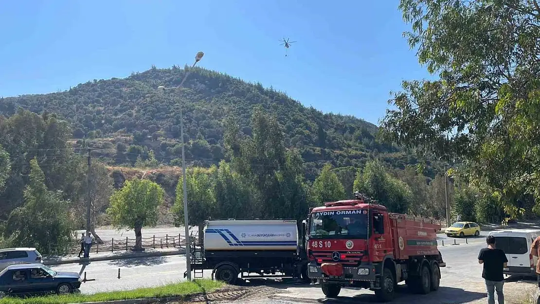 Söke'de otluk alanda çıkan başlayan yangın ormanlık alana sıçradı