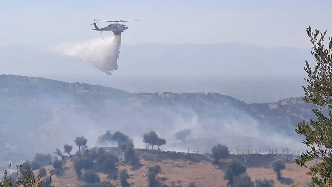 Söke'deki yangınlarda 41 milyon 250 bin TL zarar