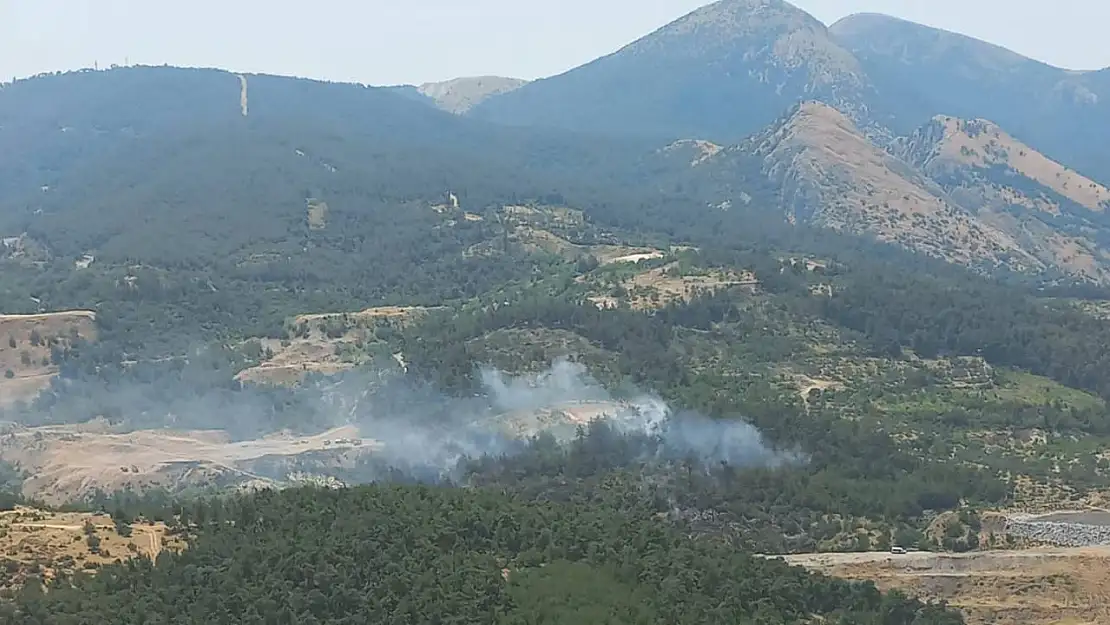 Soma'da orman yangını