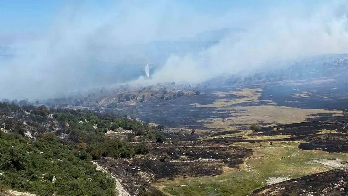 Soma'daki orman yangınında bir mahalle tahliye edildi