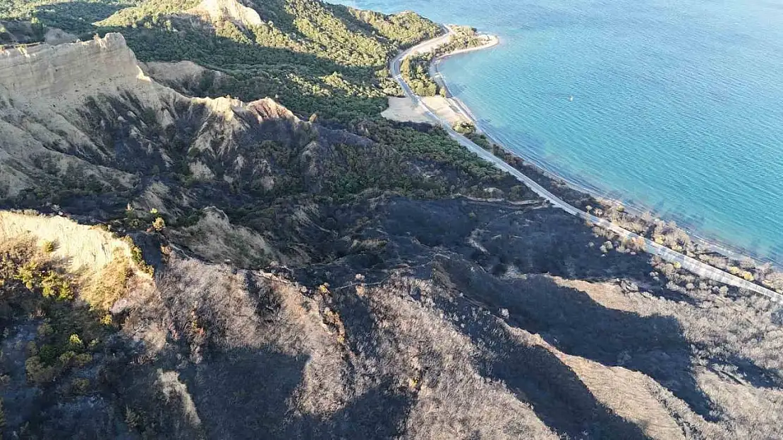 Tarihi Gelibolu Yarımadası'ndaki yangında alevlerden etkilenen Anzak Koyu dron ile görüntülendi