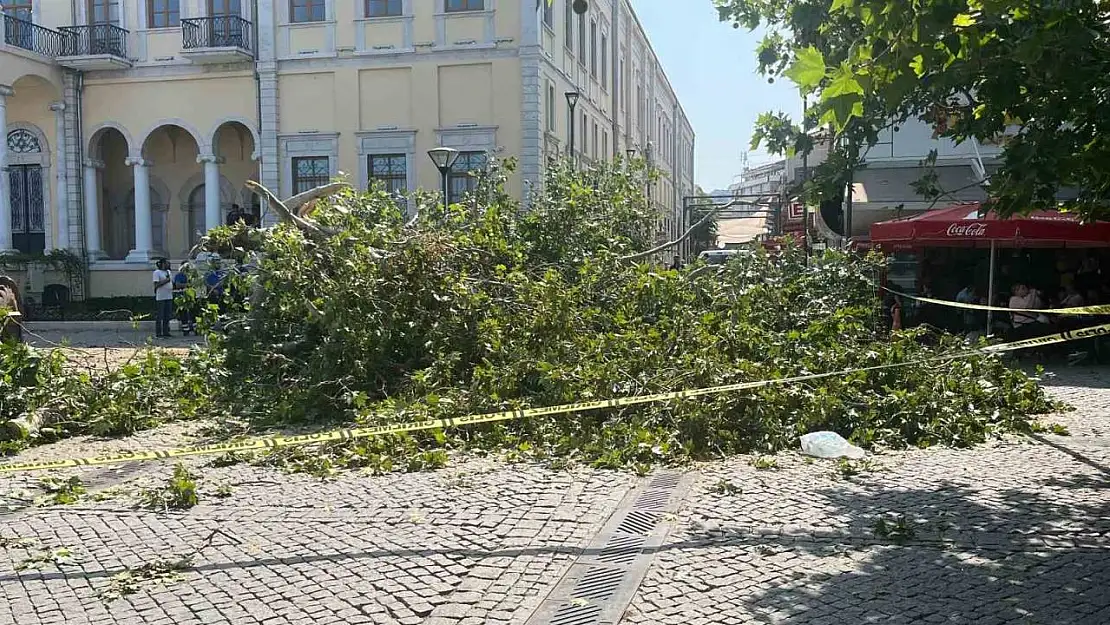 Tarihi Kemeraltı Çarşısı girişindeki dev çınar devrildi