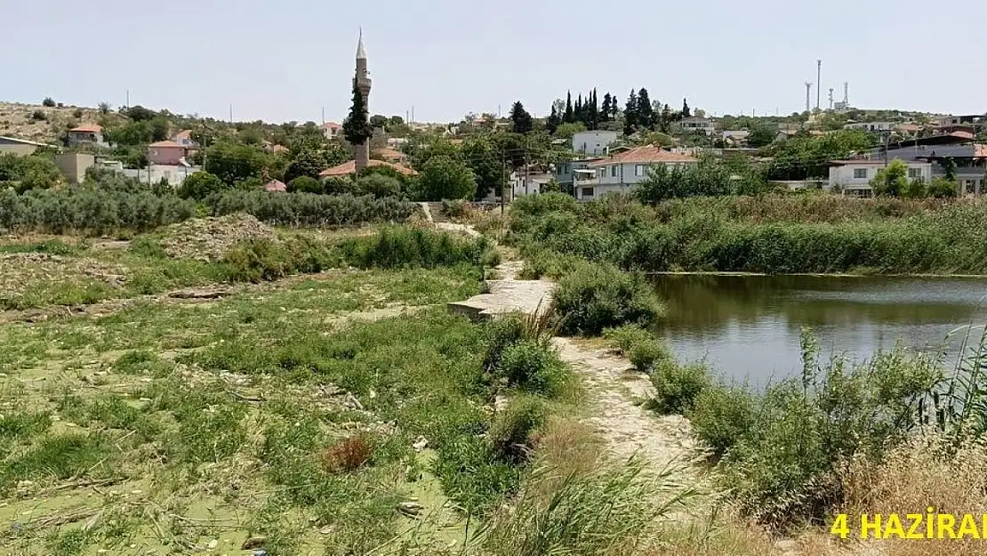 Tarihi köprüde sular yeşillendi, doğaseverler sorunlara dikkat çekti