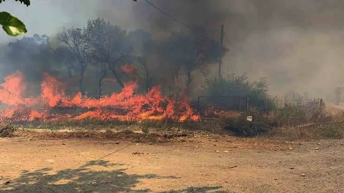 Tarım arazisi yangını yerleşim yerine ulaşmadan söndürüldü