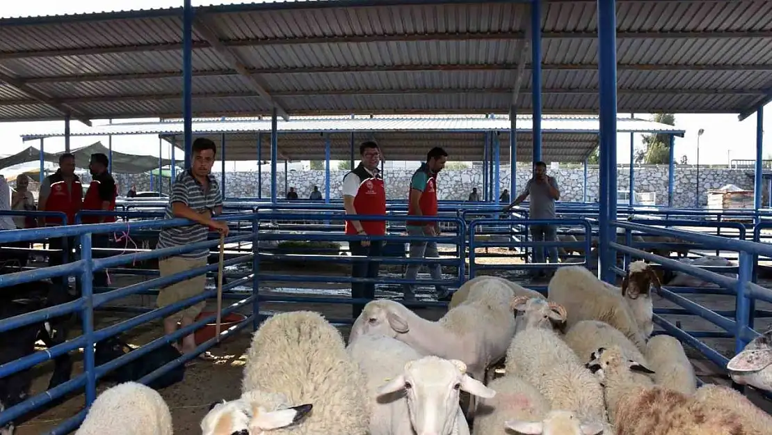 Tarım İl Müdürlüğü ekipleri Kurban Bayramında sahada olacak