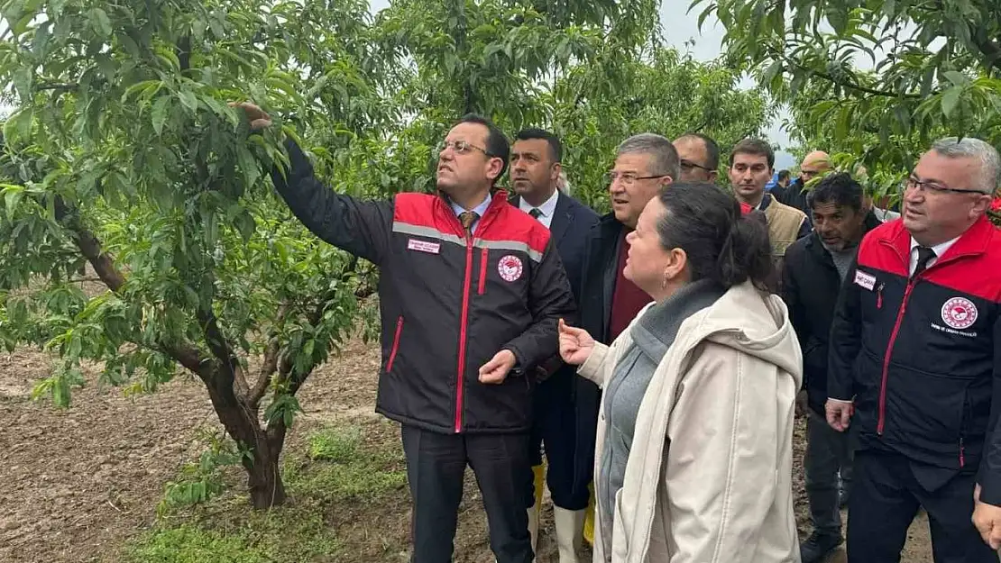 Tarım ve Orman Bakan Yardımcısı Gizligider, Denizli'de zirai dondan etkilenen tarımsal alanları inceledi