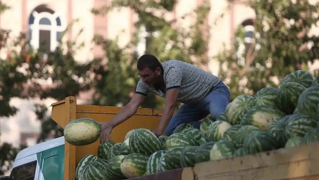 Tarlada kalan karpuz, Bursalılara ücretsiz dağıtıldı