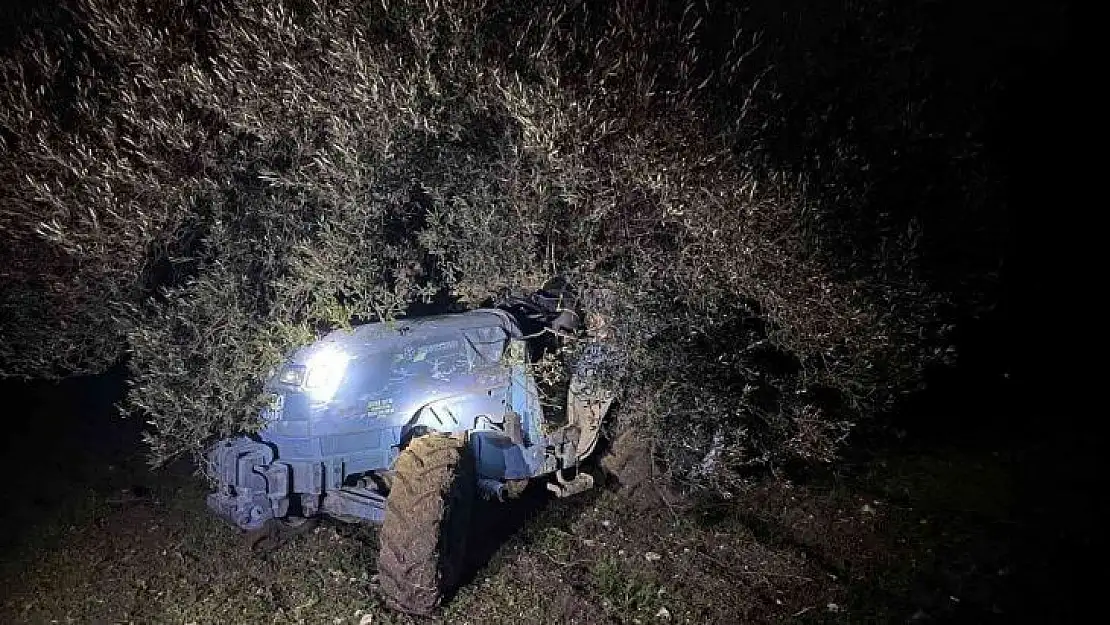 Tarlasındaki zeytin ağacı hayatına mal oldu