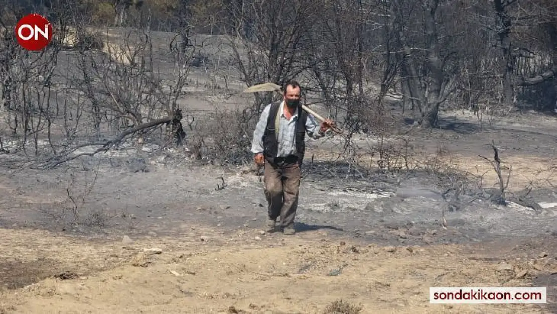 Tavaklı'da 1 ayda 9'uncu kez orman yangını çıktı