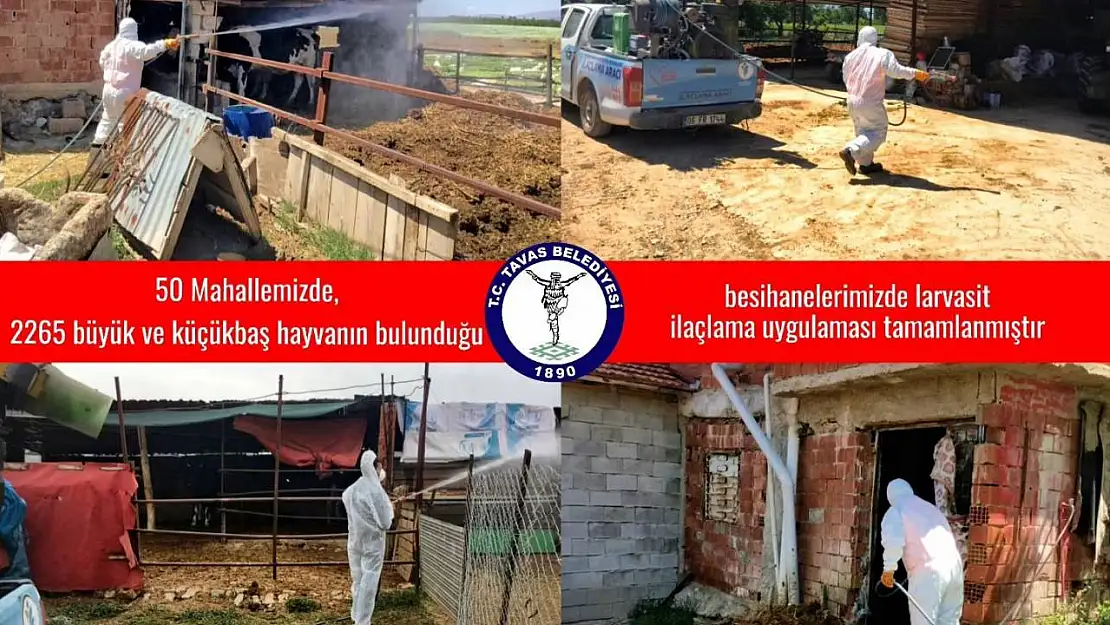 Tavas Belediyesi 50 mahallede 2. tur ilaçlamalarına başladı