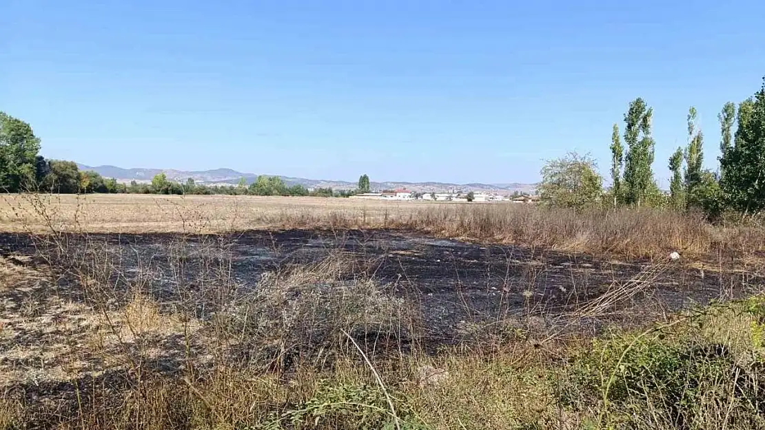 Tavşanlı'da arazide çıkan yangın kısa sürede söndürüldü