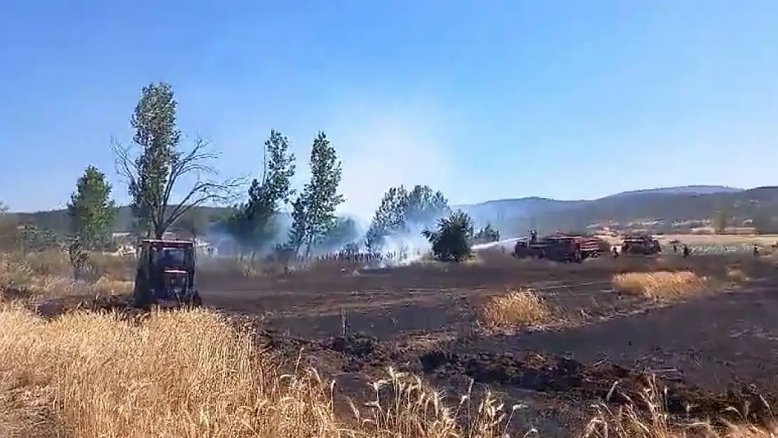 Tavşanlı'da buğday ekili alanda çıkan yangın kısa sürede söndürüldü