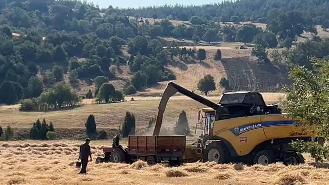 Tavşanlı'da çiftçiler emeklerinin karşılığını almanın heyecanını yaşıyor