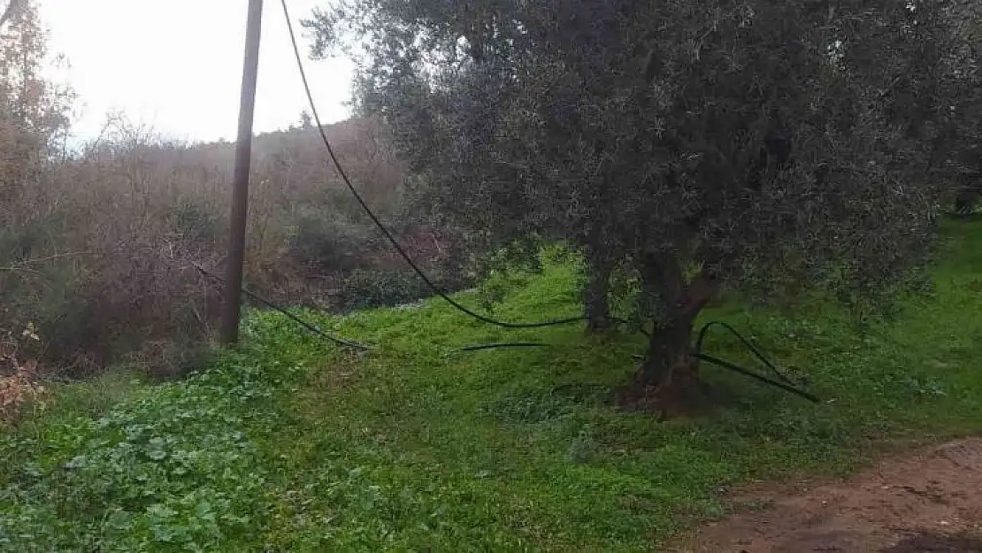 Telefon ve elektrik tellerini kesen hırsızlar jandarmaya yakalandı