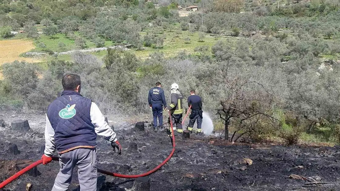 Temizlik ateşi ormanı yakıyordu