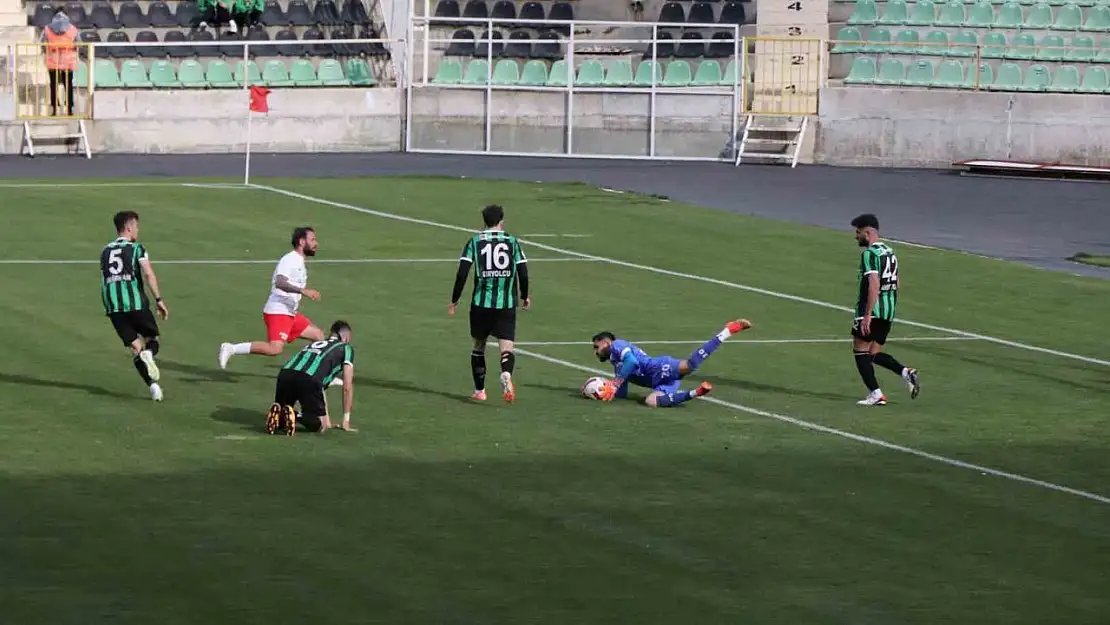 TFF 2. Lig: Denizlispor: 1 - Düzcespor: 2