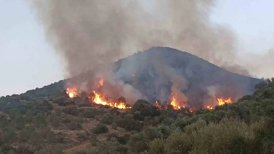 Tire ve Bayındır'da orman yangınları sürüyor