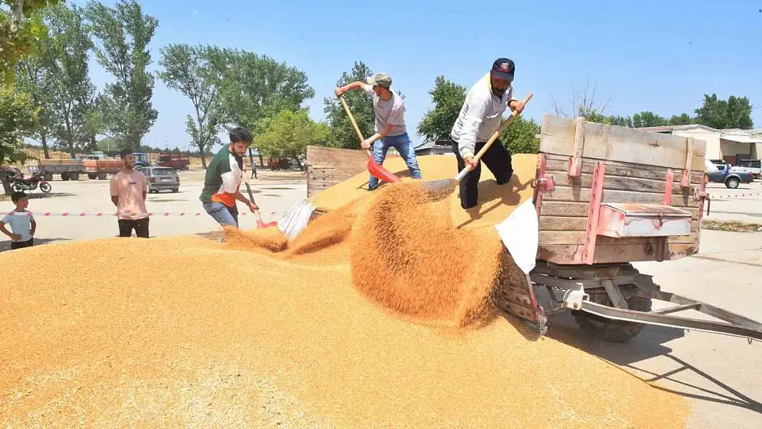 TMO, Yenişehir'den 3 bin 500 ton hububat aldı