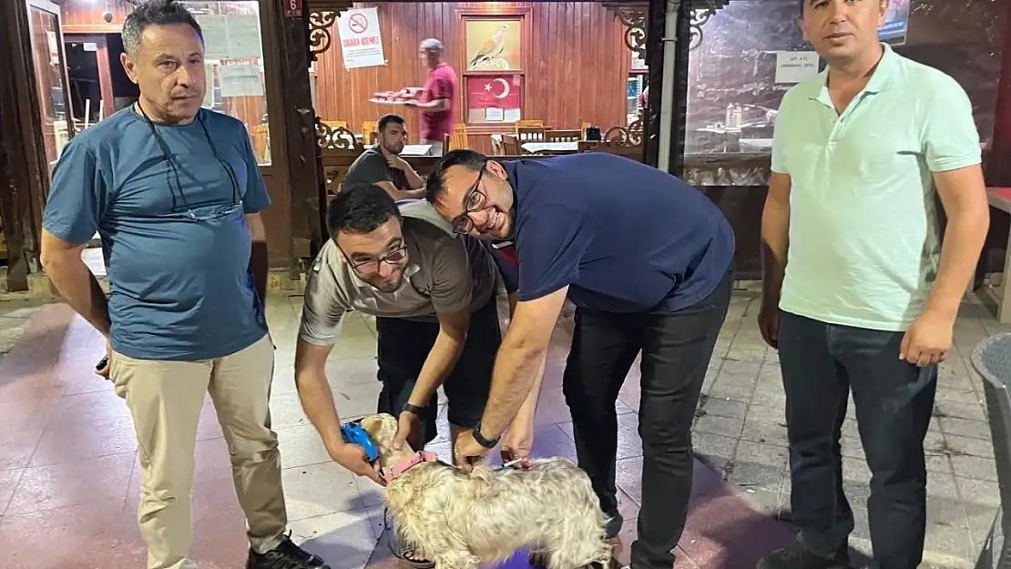 Toplu kuduz aşısı uygulaması avcılar kulübünde gerçekleştirildi
