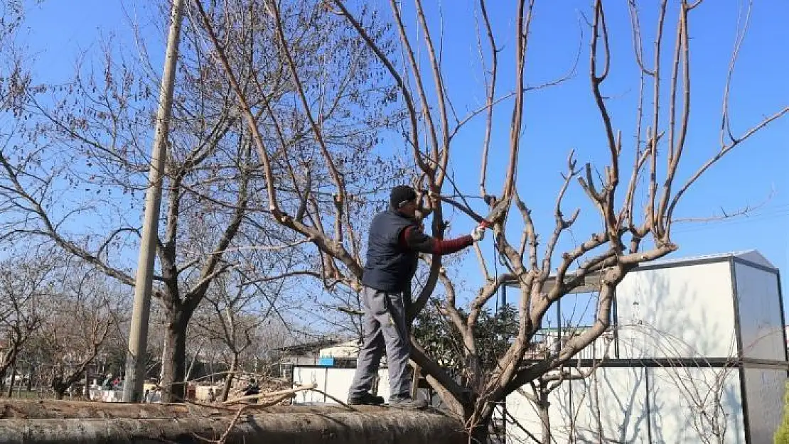 Turgutlu'da ekipler aralıksız çalışıyor