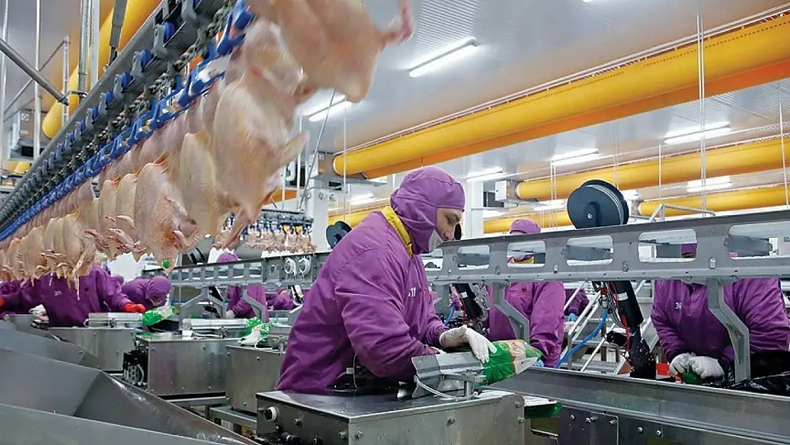 Türkiye AB'ye işlenmiş tavuk eti ihracatına hazırlanıyor