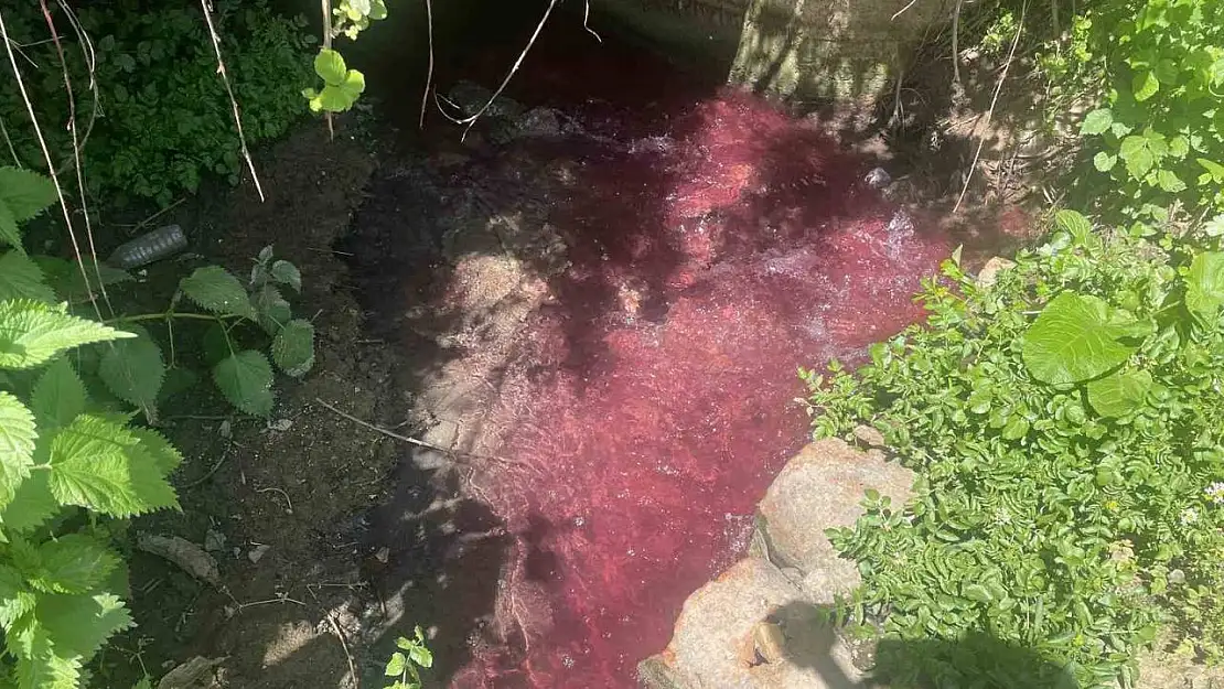 Turşu sulu renkli dereye çiftçiler de uzmanlar da tepkili