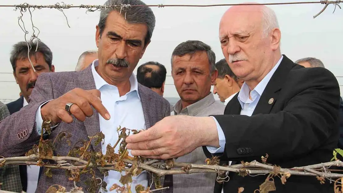 TZOB Genel Başkanı Bayraktar, Manisa'da don afeti sonrası bağlarda incelemelerde bulundu