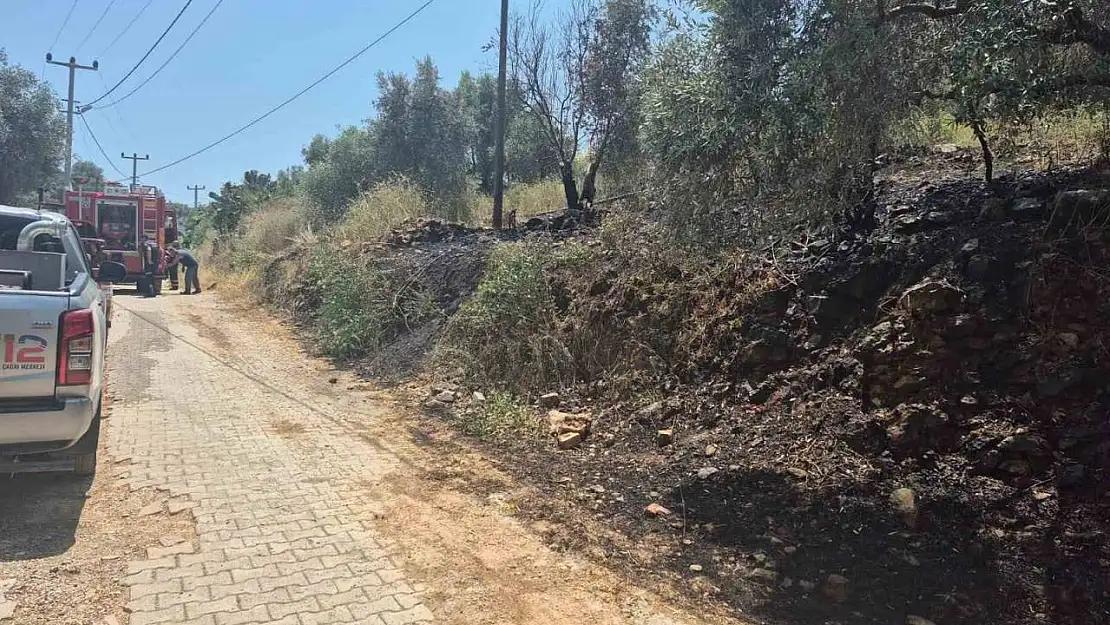 Ula'da yol kenarında çıkan yangın korkuttu