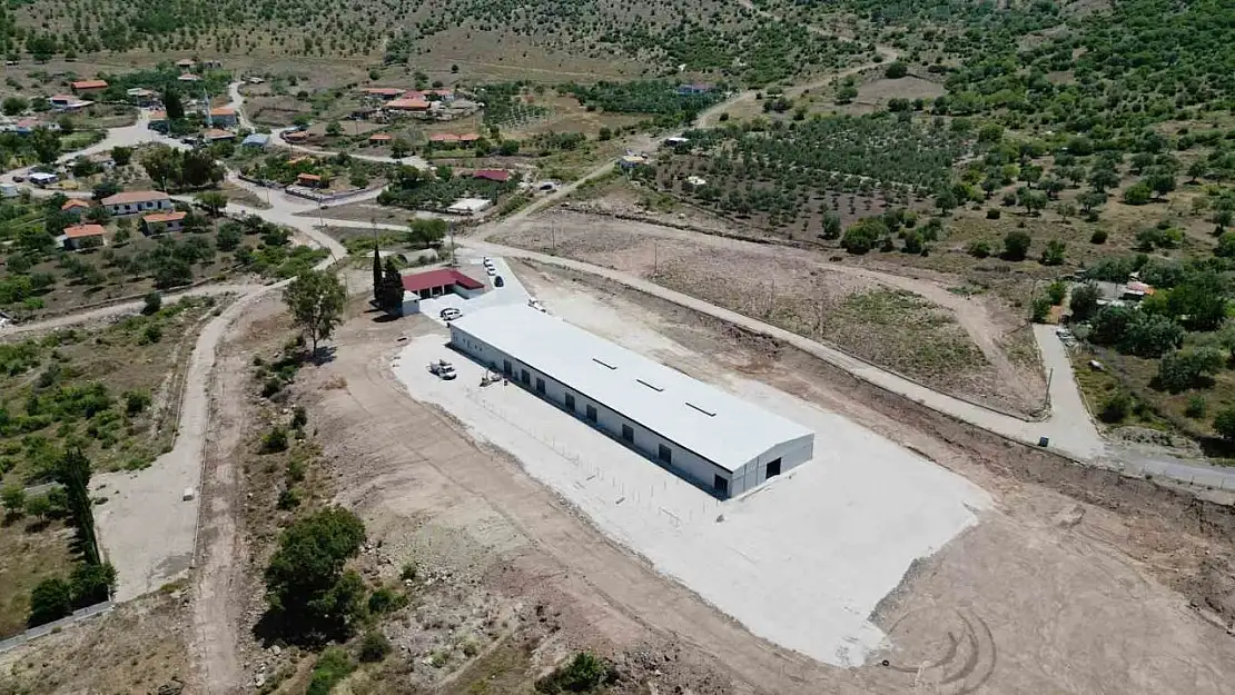 Üreticilere destek sağlayacak 'Damızlık Koyun Üretim Merkezi' faaliyete geçti