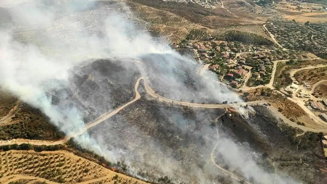 Urla'da ormana sirayet eden yangın kontrol altına alındı