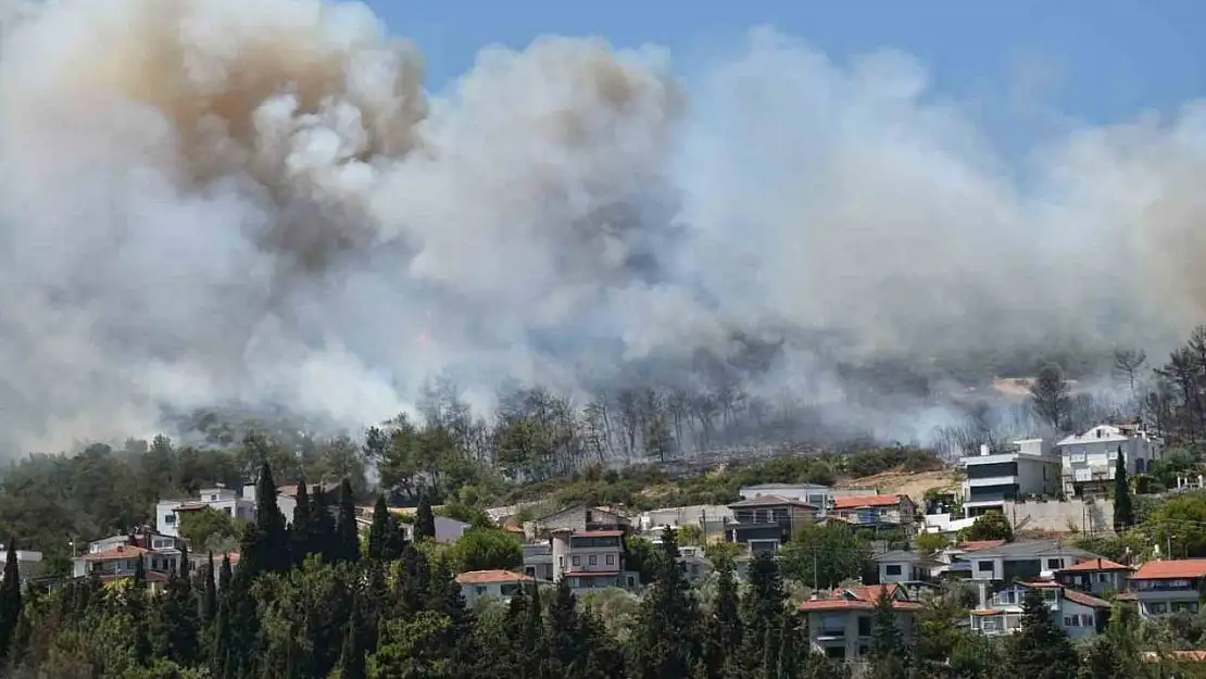 Urla ve Çeşme'de orman yangını