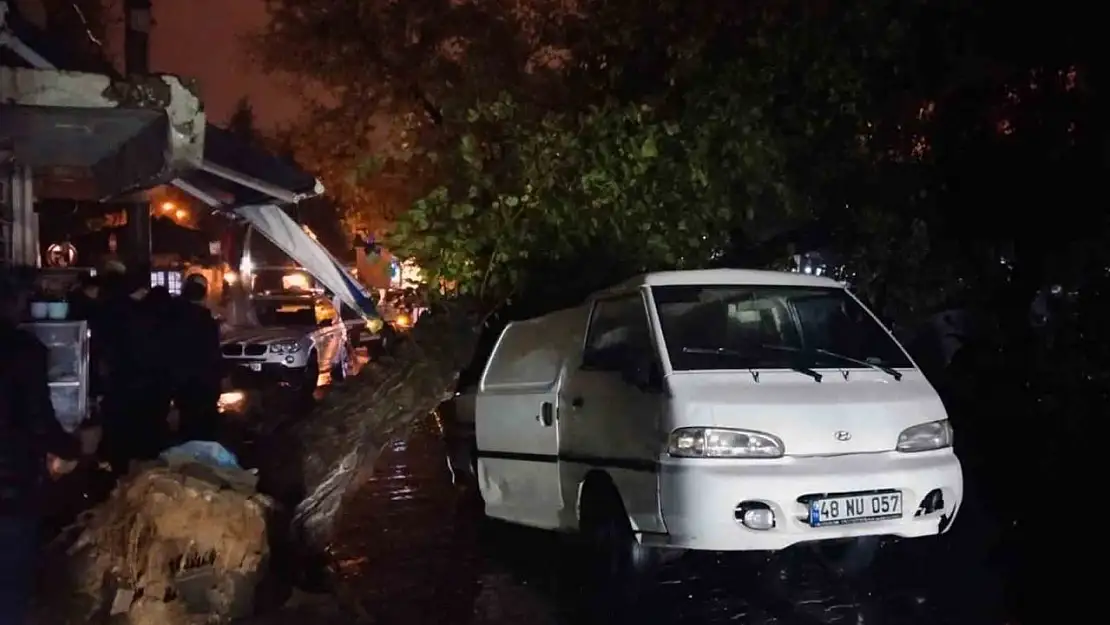 Üzerine ağaç düşen aracın sürücüsü yara almadan kurtuldu