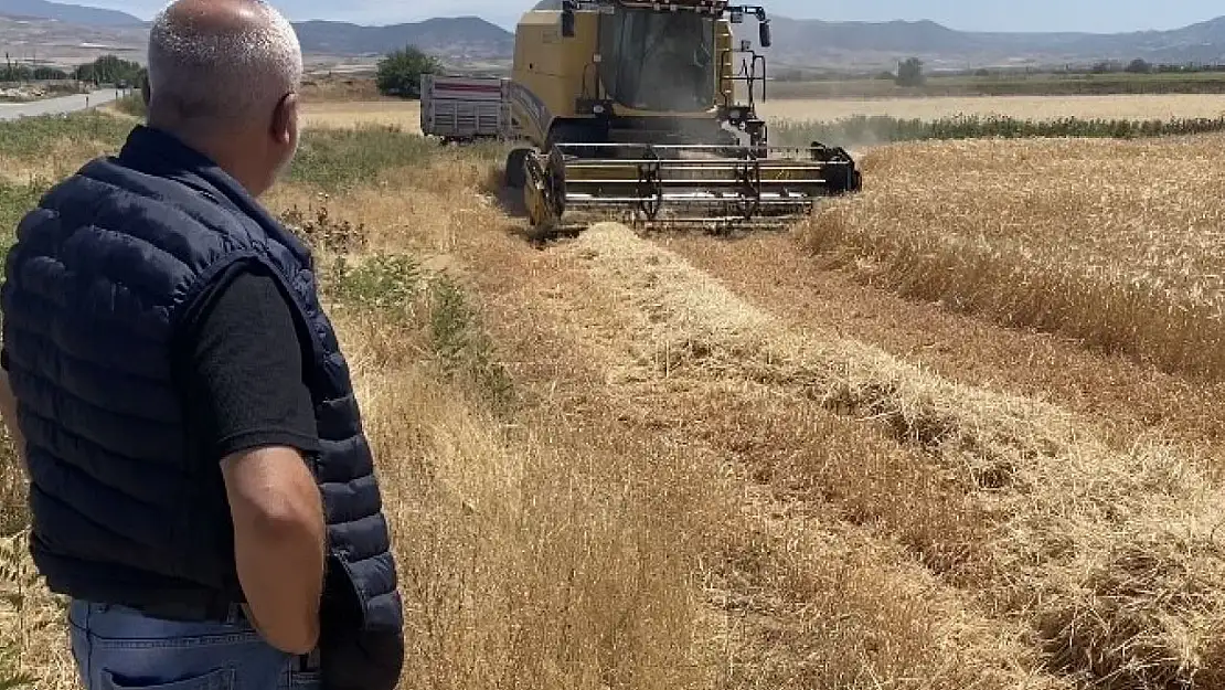 Üzümüyle ünlü Manisa'nın Alaşehir ilçesinde arpa hasadı başladı