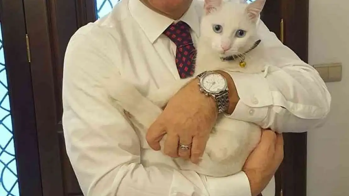 Vali Aksoy, 'Canlara sahip çıkalım'