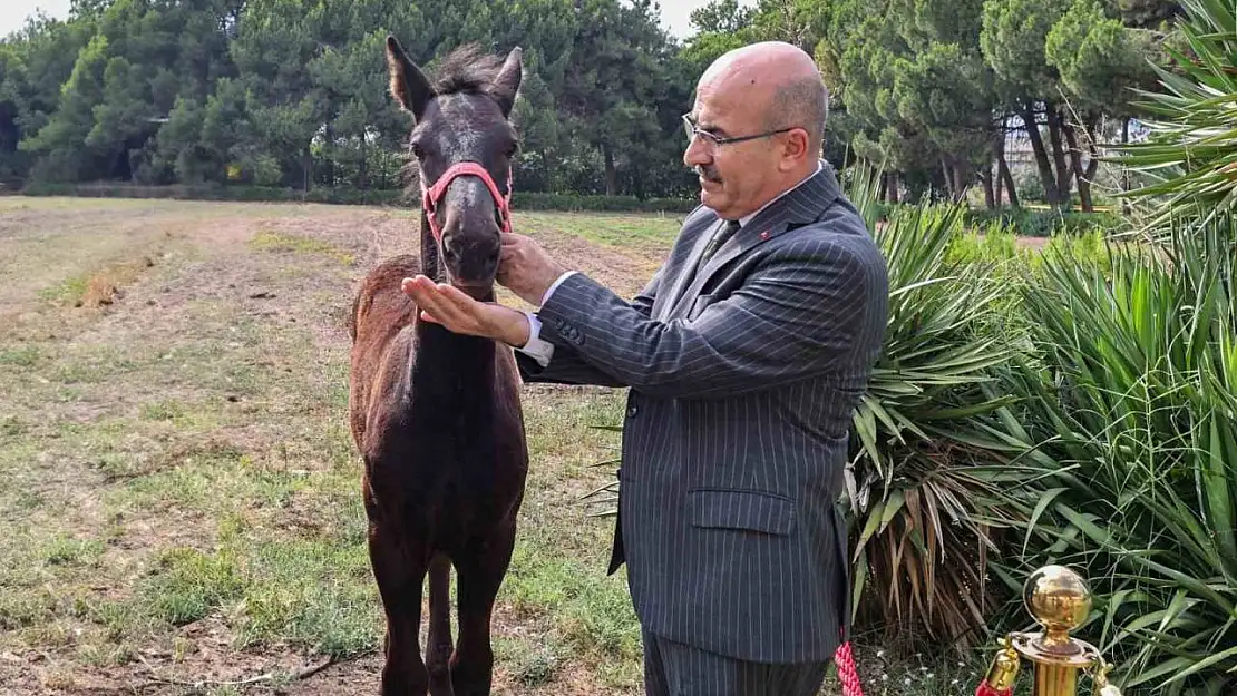 Vali Demirtaş'tan Askeri Veteriner Okulu'na ziyaret