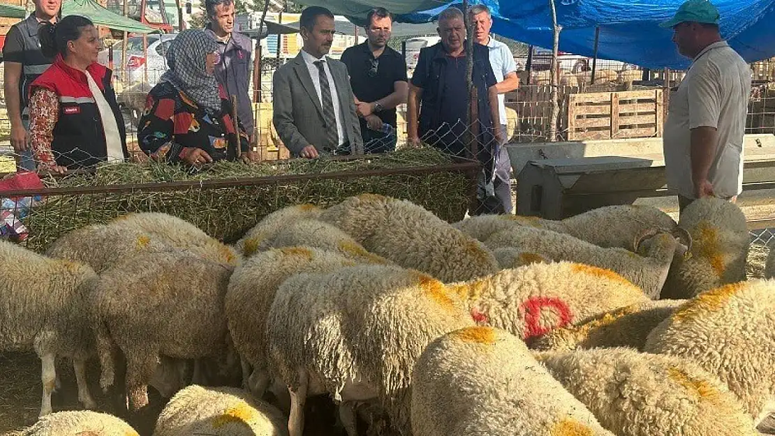 Vali İlhami Aktaş, Canlı Hayvan Pazarı ve Cuma Pazarında incelemelerde bulundu