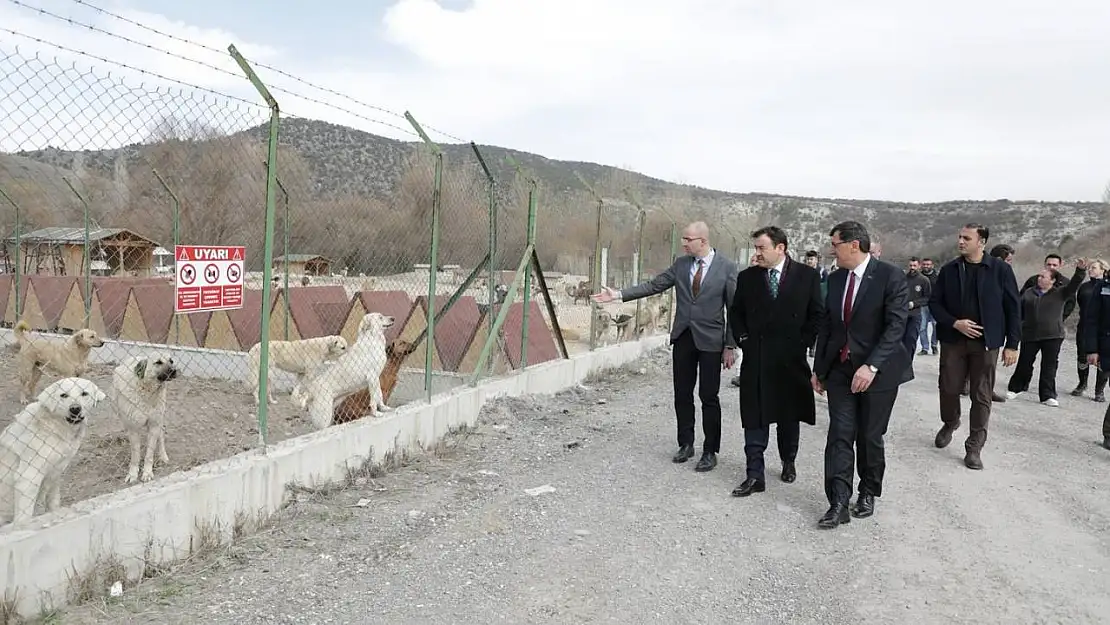 Vali Işın ve Başkan Kahveci sokak hayvanları için oluşturulan doğal yaşam alanını inceledi