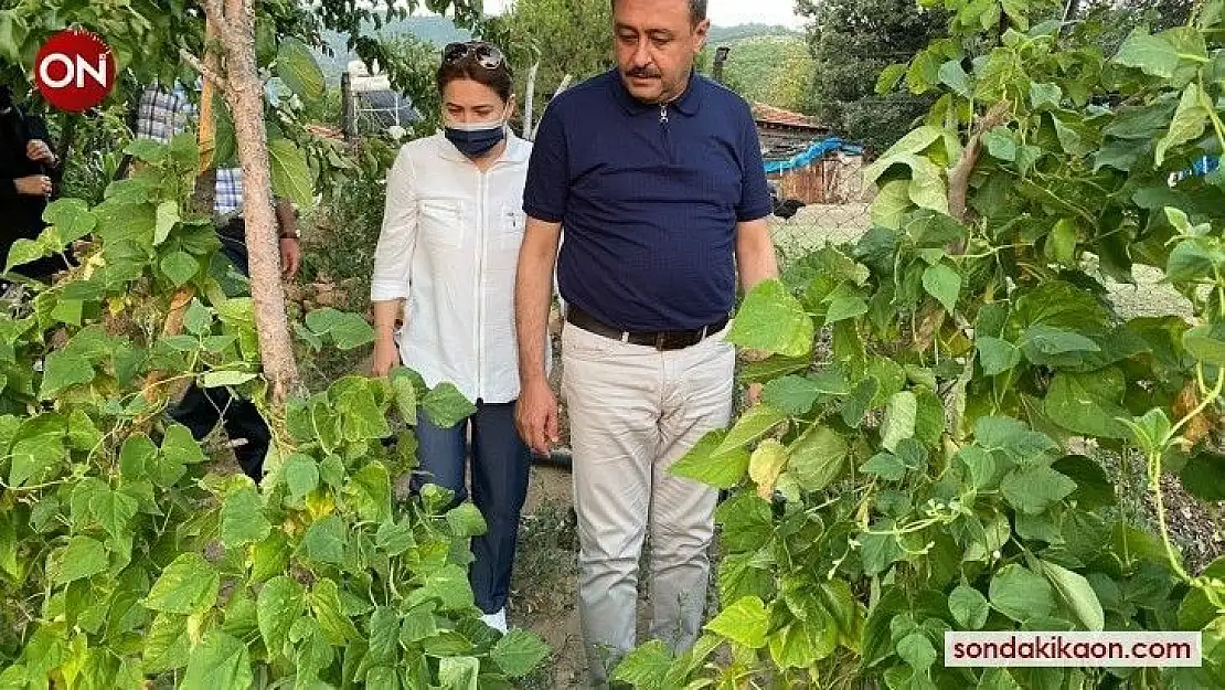 Vali Şıldak tarımda yeni ve modern girişimleri önemsediklerini belirtti