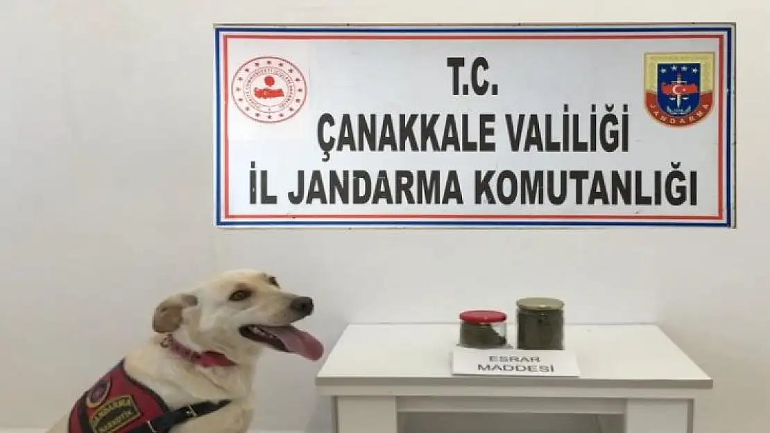 Valizinde taşıdığı uyuşturucuyla yakalandı