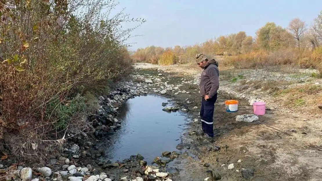 Vatandaşın dikkati binlerce balığı telef olmaktan kurtardı