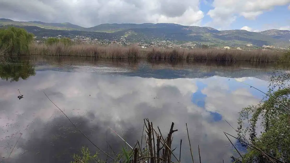 Verimli araziler balık havuzu oldu